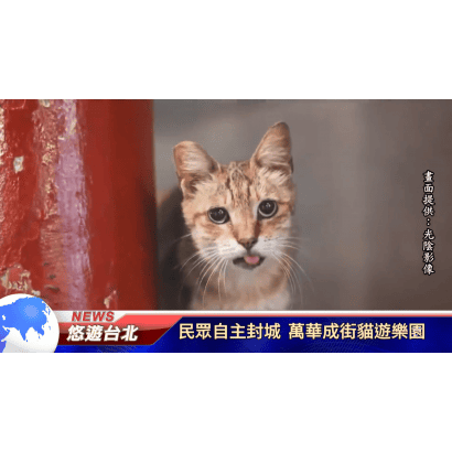 民眾自主封城.png